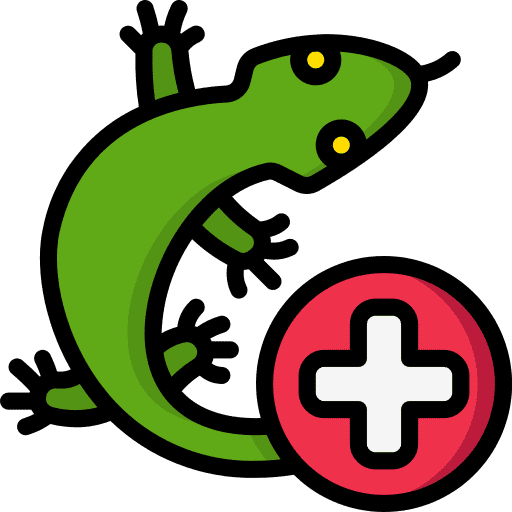 Lizard Control Service in Delhi and Rajasthan