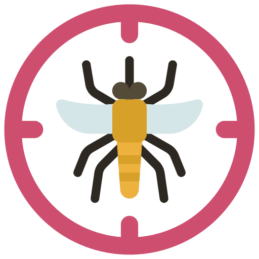 Spider Control Service in Delhi and Rajasthan