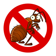Residential Pest Control in Delhi and Rajasthan