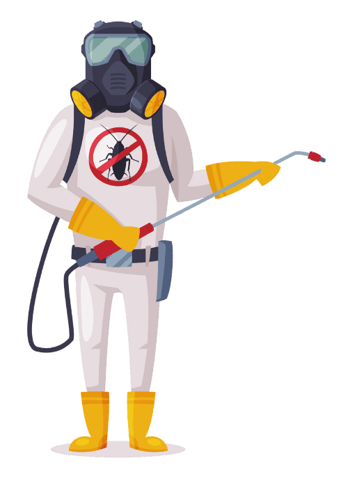 Successful Pest Control in Delhi