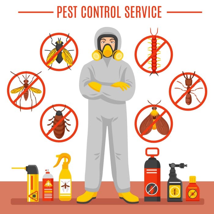 Pest Control Technician in Delhi NCR