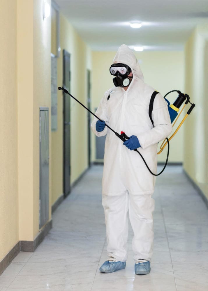 Expert Pest Control Technician in Delhi NCR
